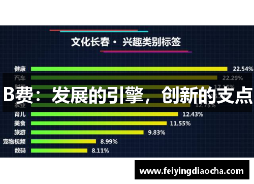 B费：发展的引擎，创新的支点